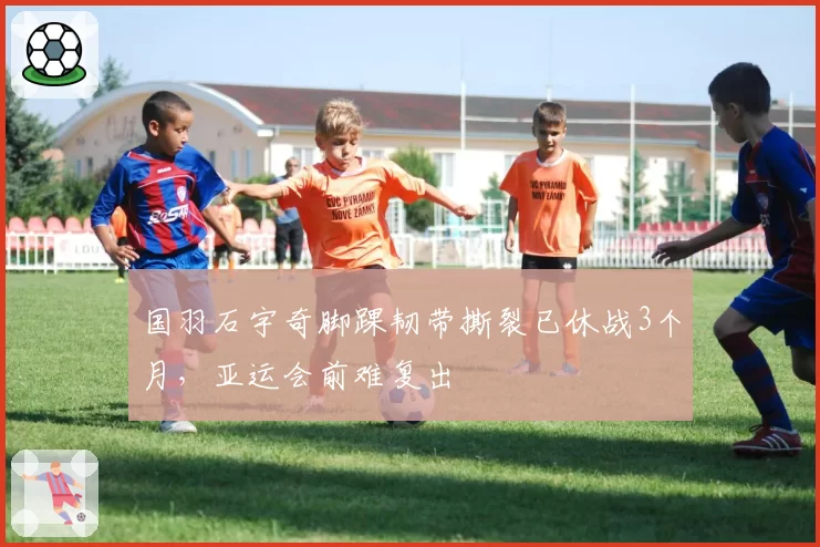 国羽石宇奇脚踝韧带撕裂已休战3个月,亚运会前难复出