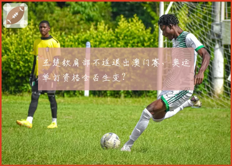王楚钦肩部不适退出澳门赛，奥运单打资格会否生变？