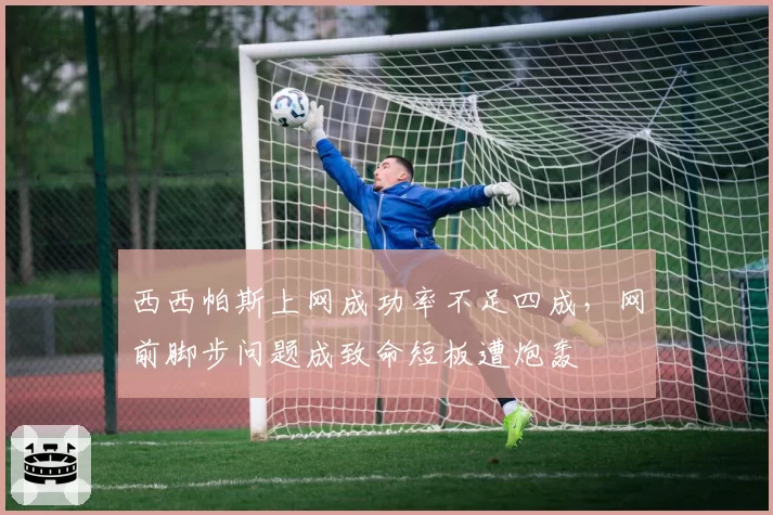 西西帕斯上网成功率不足四成，网前脚步问题成致命短板遭炮轰