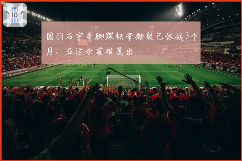 国羽石宇奇脚踝韧带撕裂已休战3个月，亚运会前难复出